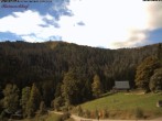 Archived image Webcam Feldberg - Hotel Raimartihof 11:00
