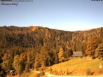 Archived image Webcam Feldberg - Hotel Raimartihof 09:00