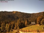 Archived image Webcam Feldberg - Hotel Raimartihof 11:00