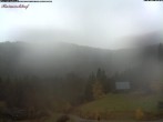 Archived image Webcam Feldberg - Hotel Raimartihof 09:00