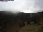 Archived image Webcam Feldberg - Hotel Raimartihof 11:00