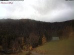 Archived image Webcam Feldberg - Hotel Raimartihof 13:00