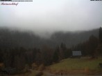 Archiv Foto Webcam Feldberg-Seebuck Raimartihof 13:00