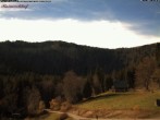 Archived image Webcam Feldberg - Hotel Raimartihof 11:00