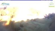 Archived image Webcam Menzensschwand: Radon Revital Spa 08:00