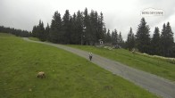 Archiv Foto Webcam Leogang: Asitz Bergstation 13:00