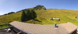 Archiv Foto Webcam Grindelwald: Bussalp Panorama 08:00