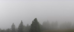 Archiv Foto Webcam Furtwangen - Brendturm 11:00