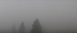 Archiv Foto Webcam Furtwangen - Brendturm 13:00