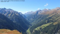 Archived image Webcam Tristner/ Zillertal - Grinberg 11:00
