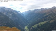 Archived image Webcam Tristner/ Zillertal - Grinberg 13:00