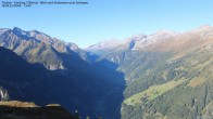 Archived image Webcam Tristner/ Zillertal - Grinberg 08:00