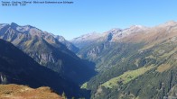Archived image Webcam Tristner/ Zillertal - Grinberg 09:00