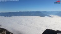 Archived image Webcam Hoher Kasten - Rheintal 09:00