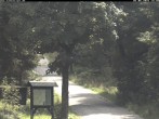 Archiv Foto Webcam Kammloipe: Weitersglashütte - Blick vom Hotel Kranichsee 13:00