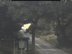 Archiv Foto Webcam Kammloipe: Weitersglashütte - Blick vom Hotel Kranichsee 10:00