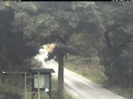 Archiv Foto Webcam Kammloipe: Weitersglashütte - Blick vom Hotel Kranichsee 11:00