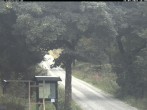 Archiv Foto Webcam Kammloipe: Weitersglashütte - Blick vom Hotel Kranichsee 15:00