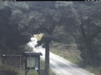 Archiv Foto Webcam Kammloipe: Weitersglashütte - Blick vom Hotel Kranichsee 17:00