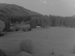 Archived image Webcam View from Angererhof in Tragöß, Styria (Austria) 14:00