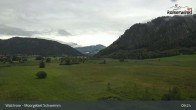 Archiv Foto Webcam Walchsee Moorgebiet Schwemm 08:00