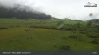 Archiv Foto Webcam Walchsee Moorgebiet Schwemm 10:00