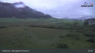 Archiv Foto Webcam Walchsee Moorgebiet Schwemm 20:00