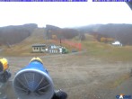 Archiv Foto Webcam Cimone - Stadio dello Slalom 11:00