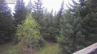 Archiv Foto Webcam Rosswald - Bergfriede 07:00