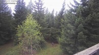 Archiv Foto Webcam Rosswald - Bergfriede 09:00