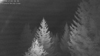 Archived image Webcam Rosswald - Chalet Bärgfriedu 23:00
