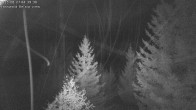 Archived image Webcam Rosswald - Chalet Bärgfriedu 03:00