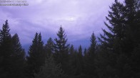 Archived image Webcam Rosswald - Chalet Bärgfriedu 05:00