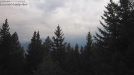 Archived image Webcam Rosswald - Chalet Bärgfriedu 06:00