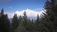 Archived image Webcam Rosswald - Chalet Bärgfriedu 11:00