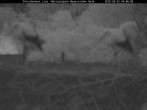 Archiv Foto Webcam Bayerischer Wald: Blick auf das Storchennest in Grafenau 03:00