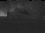 Archived image Webcam Stork Nest at the Bavarian Forest National Park 03:00