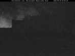 Archived image Webcam Stork Nest at the Bavarian Forest National Park 03:00