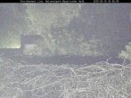 Archiv Foto Webcam Bayerischer Wald: Blick auf das Storchennest in Grafenau 19:00