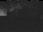 Archived image Webcam Stork Nest at the Bavarian Forest National Park 03:00