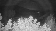 Archiv Foto Webcam Blick Fuschlsee von Hotel Waldhof 23:00