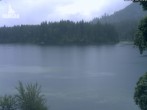 Archiv Foto Webcam Hintersee bei Ramsau im Berchtesgadener Land 11:00
