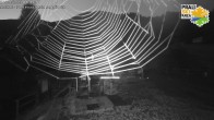 Archived image Webcam Malzat Chair Lift - Prali Ski Resort 05:00