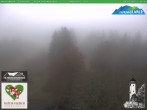 Archived image Webcam Oberweissbach - View Froebelturm 14:00