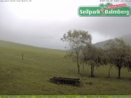 Archiv Foto Webcam Seilpark Balmberg 05:00