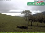 Archiv Foto Webcam Seilpark Balmberg 06:00