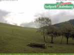 Archiv Foto Webcam Seilpark Balmberg 09:00
