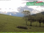 Archiv Foto Webcam Seilpark Balmberg 11:00