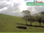 Archiv Foto Webcam Seilpark Balmberg 13:00
