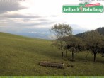 Archiv Foto Webcam Seilpark Balmberg 17:00